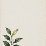茶与四时